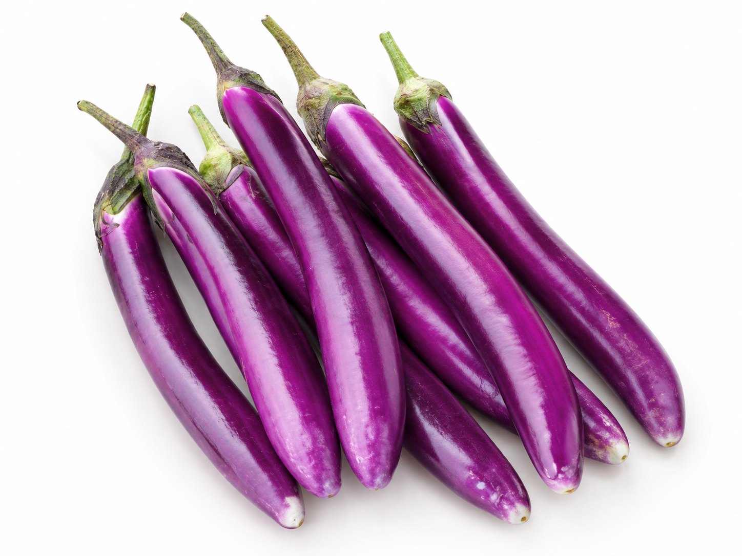 Long eggplant